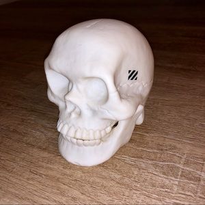 Sabre Sunglasses Store Display POP Skull